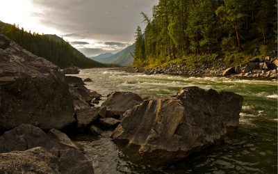 Les bases fondamentales pour préserver l’environnement