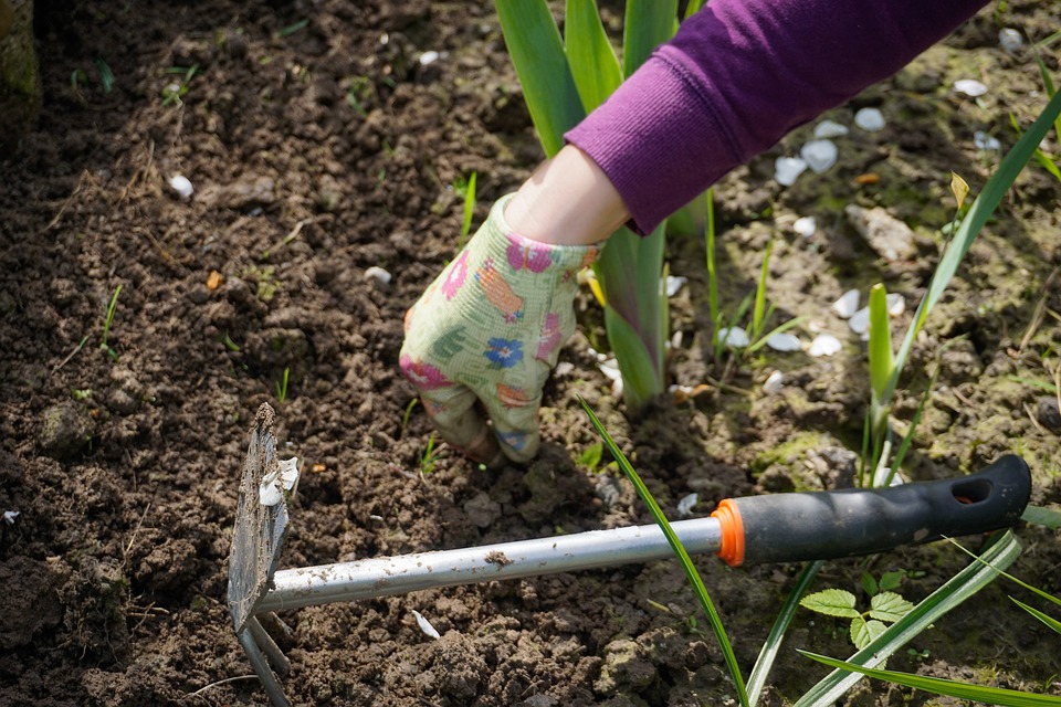 Quelques désherbants naturels à faire à la maison