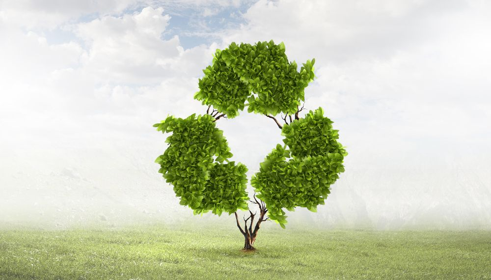 Renovation d’entreprise : quels gestes pour rendre ce processus ecologique ?